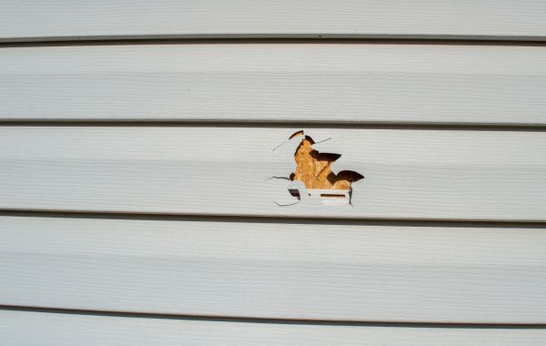 Siding Hole Patching in Sequim